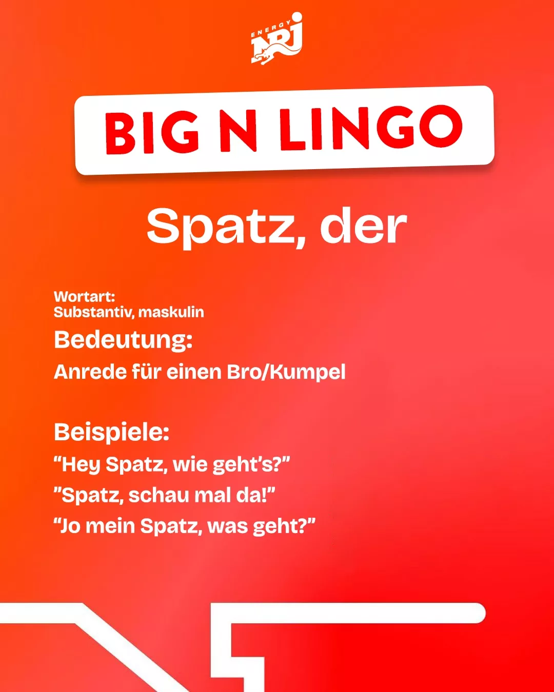spatz 